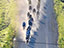 Zealous Racing