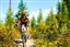 Stag Leap Running Co. and Fernie Tears & Gears