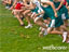 Athletics Nelson